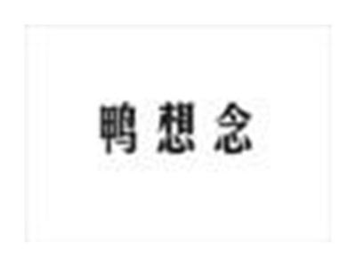 鸭想念