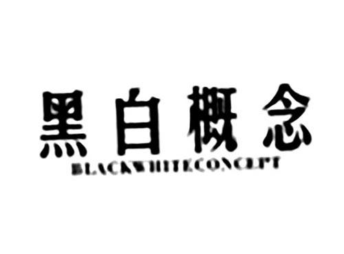 黑白概念BLACKWHITECONCEPT
