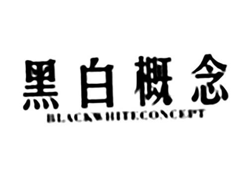 黑白概念BLACKWHITECONCEPT