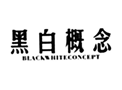黑白概念BLACKWHITECONCEPT