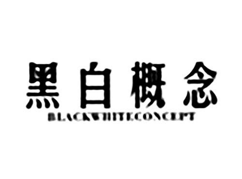 黑白概念BLACKWHITECONCEPT