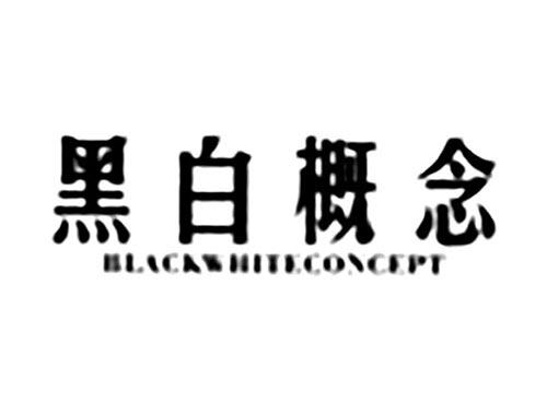 黑白概念BLACKWHITECONCEPT