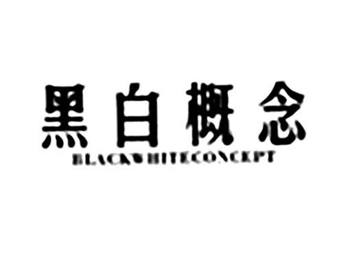 黑白概念BLACKWHITECONCEPT