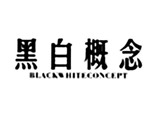 黑白概念BLACKWHITECONCEPT