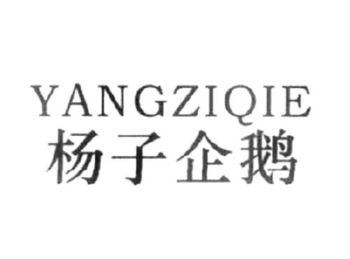 杨子企鹅