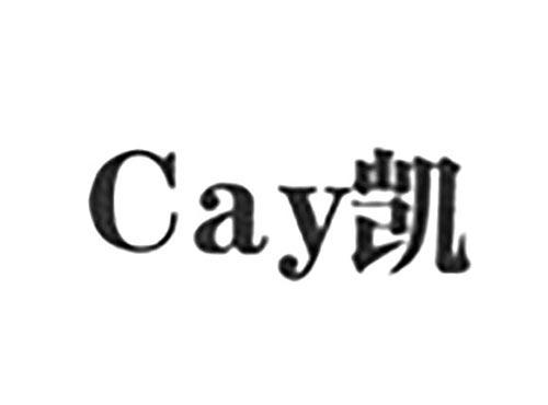 CAY凯
