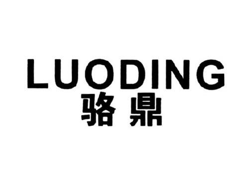 骆鼎