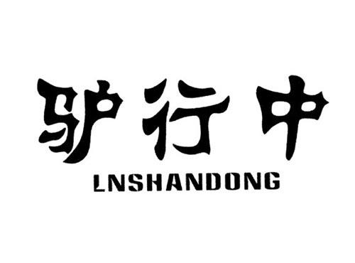 驴行中LNSHANDONG