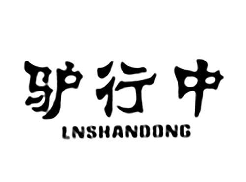 驴行中LNSHANDONG