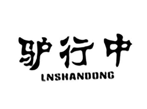 驴行中LNSHANDONG