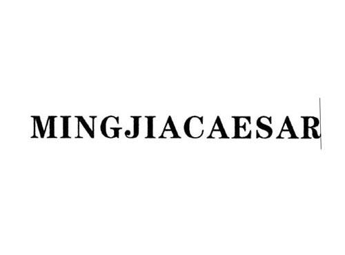 MINGJIACAESAR