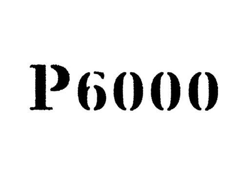 P6000