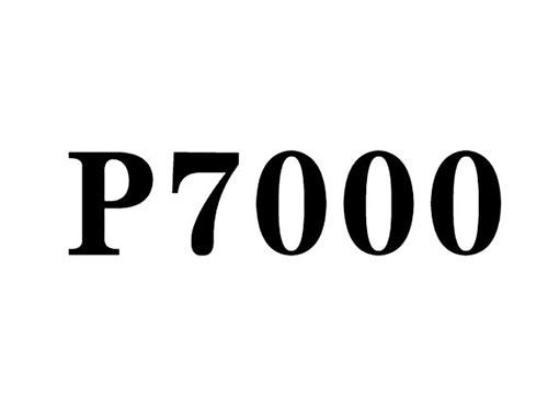P7000