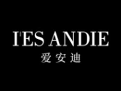 爱安迪IESANDIE