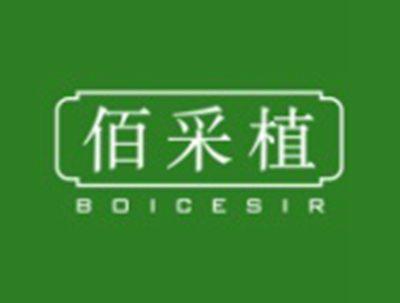 佰采植BOICESIR