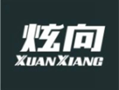 炫向