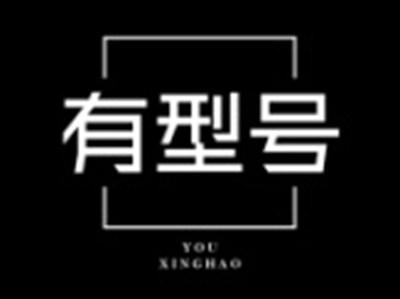 有型号