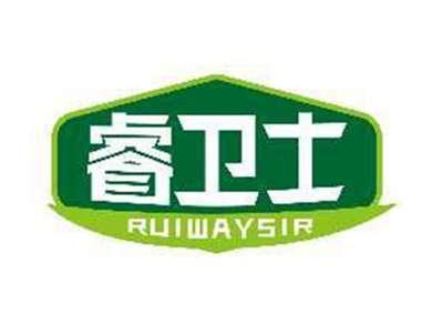 睿卫士RUIWAYSIR