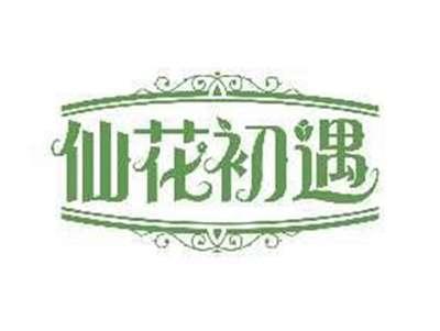 仙花初遇