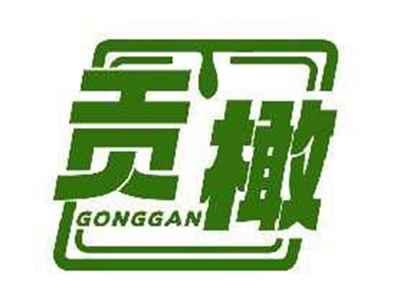 贡橄GONGGAN