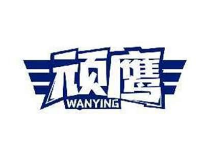 顽鹰WANYING