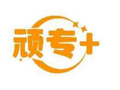 顽专+
