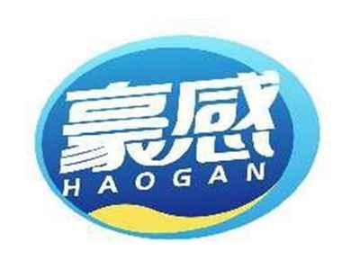 豪感HAOGAN