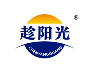 趁阳光