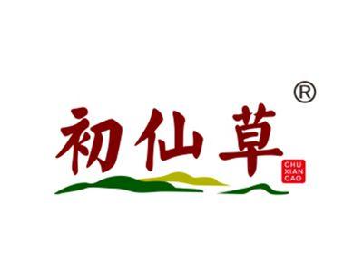 初仙草