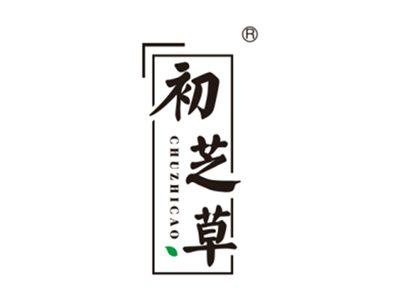 初芝草