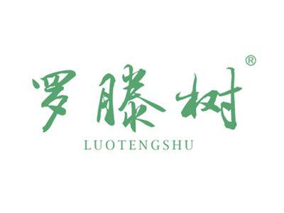 罗滕树
