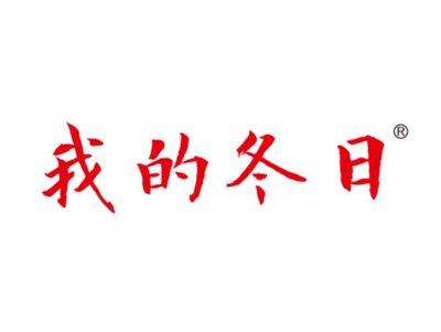 我的冬日