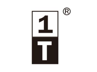 T1