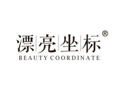 漂亮坐标