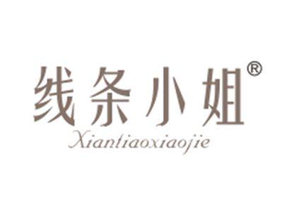 线条小姐