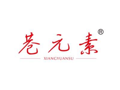 巷元素