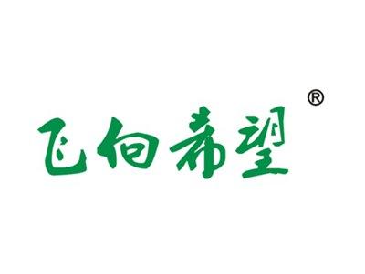 飞向希望