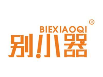 别小器