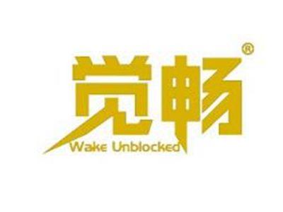 觉畅WAKEUNBLOCKED