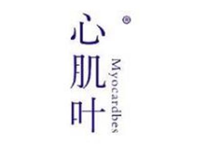 心肌叶MYOCARDBES