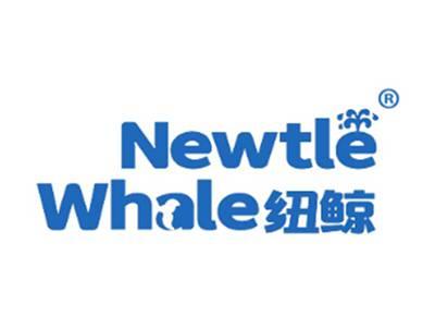 纽鲸NEWTLEWHALE