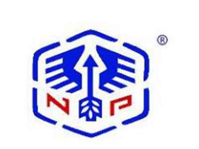 NP图形