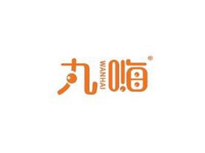 丸嗨