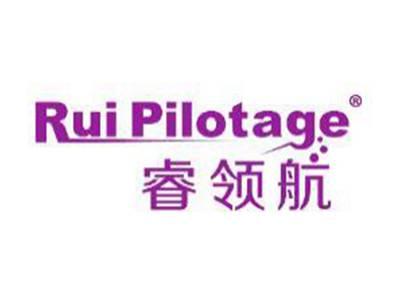 睿领航RUIPILOTAGE