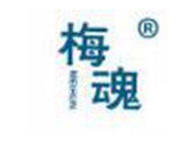 梅魂