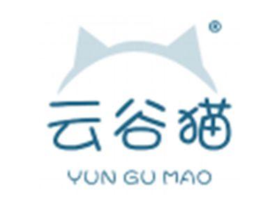 云谷猫
