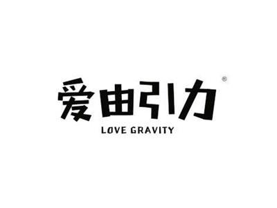 爱由引力LOVE GRAVITY