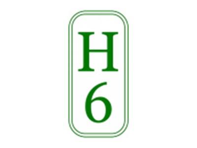 H6