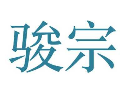 骏宗