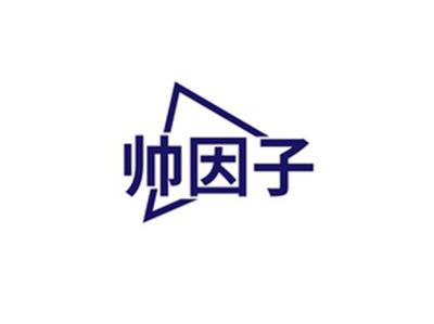 帅因子